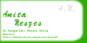 anita meszes business card